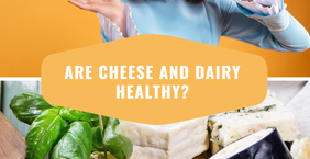 Are Cheese and Dairy healthy?